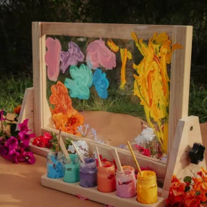 ficus decora burgundy